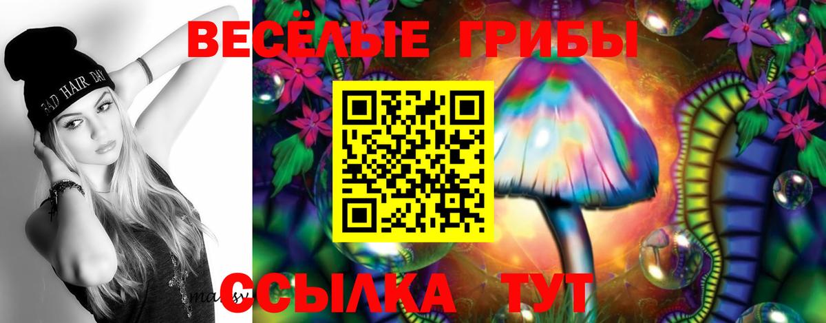 Комсомольск-на-Амуре  Псилоцибиновые грибы Magic Shrooms  Вход с VPN 